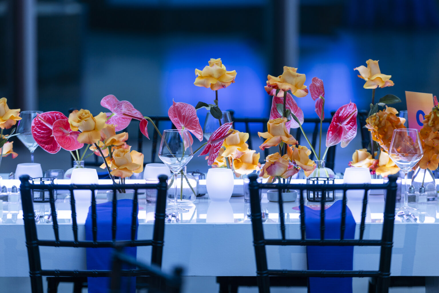 Whittier Street Fundraising Gala Boston, MA. Designed by JWennes Events.